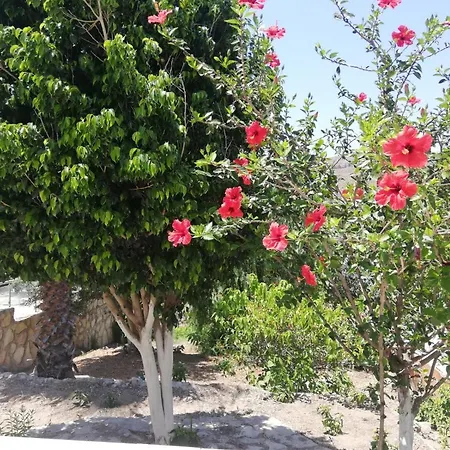 House With Garden In * Bodrum